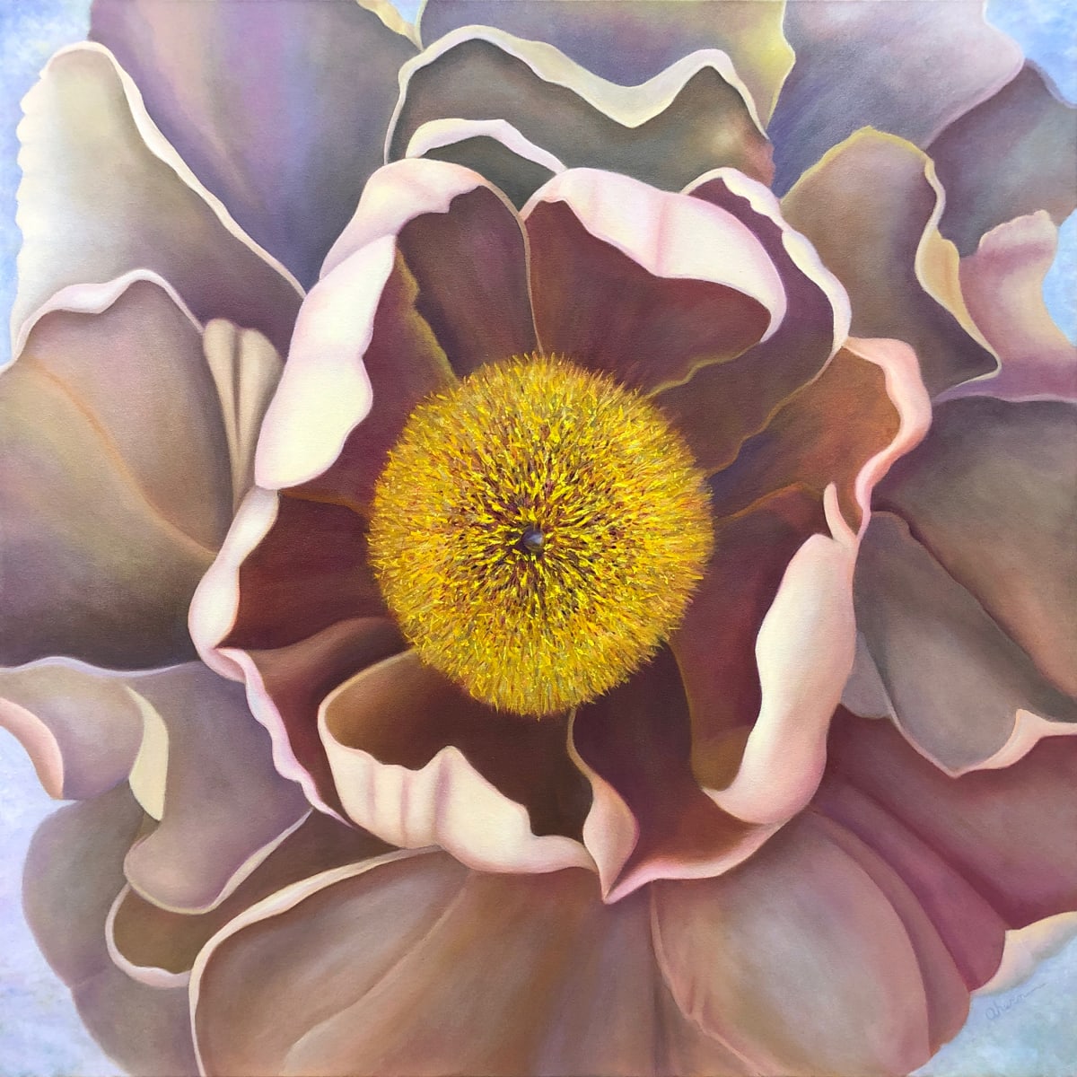 Subtle Exuberance - Tree Peony by Mary Ahern 