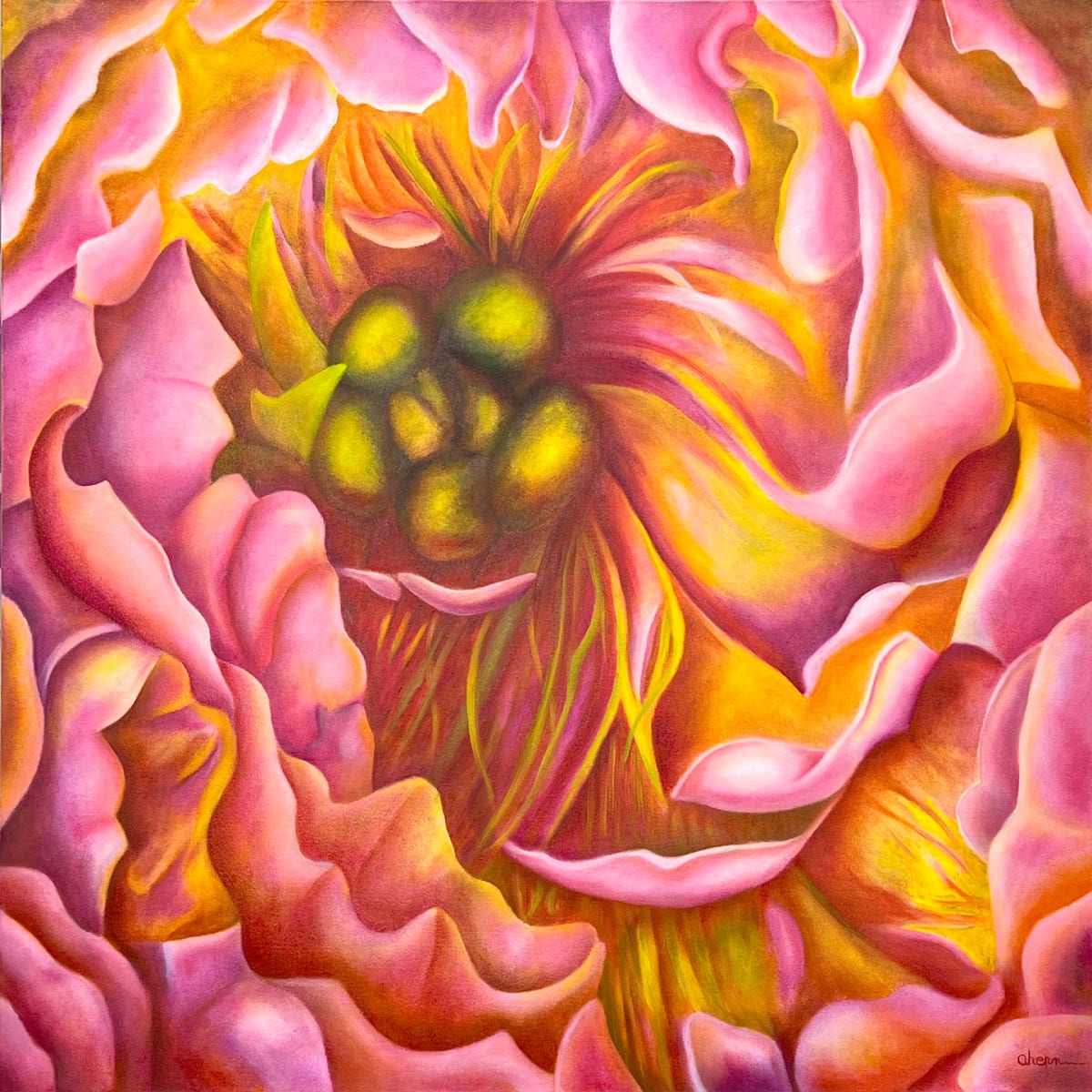 Phantasm - Coral Sunset Peony by Mary Ahern  Image: Phantasm - Coral Sunset Peony. 36x36x1/5 Oil on Canvas. Gallery Wrapped. Painting on sides.
