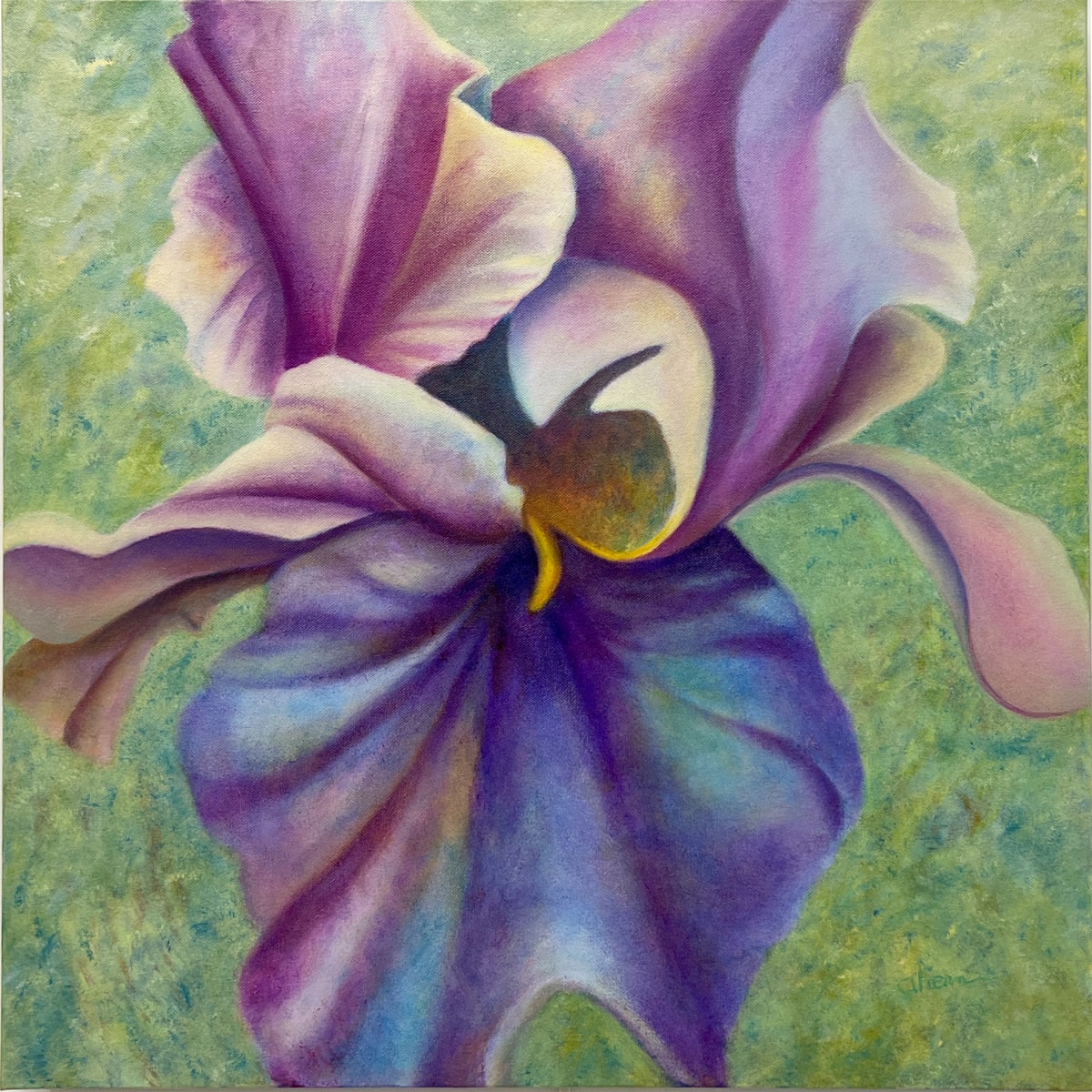 Unfurling - Violet Turner Iris by Mary Ahern 