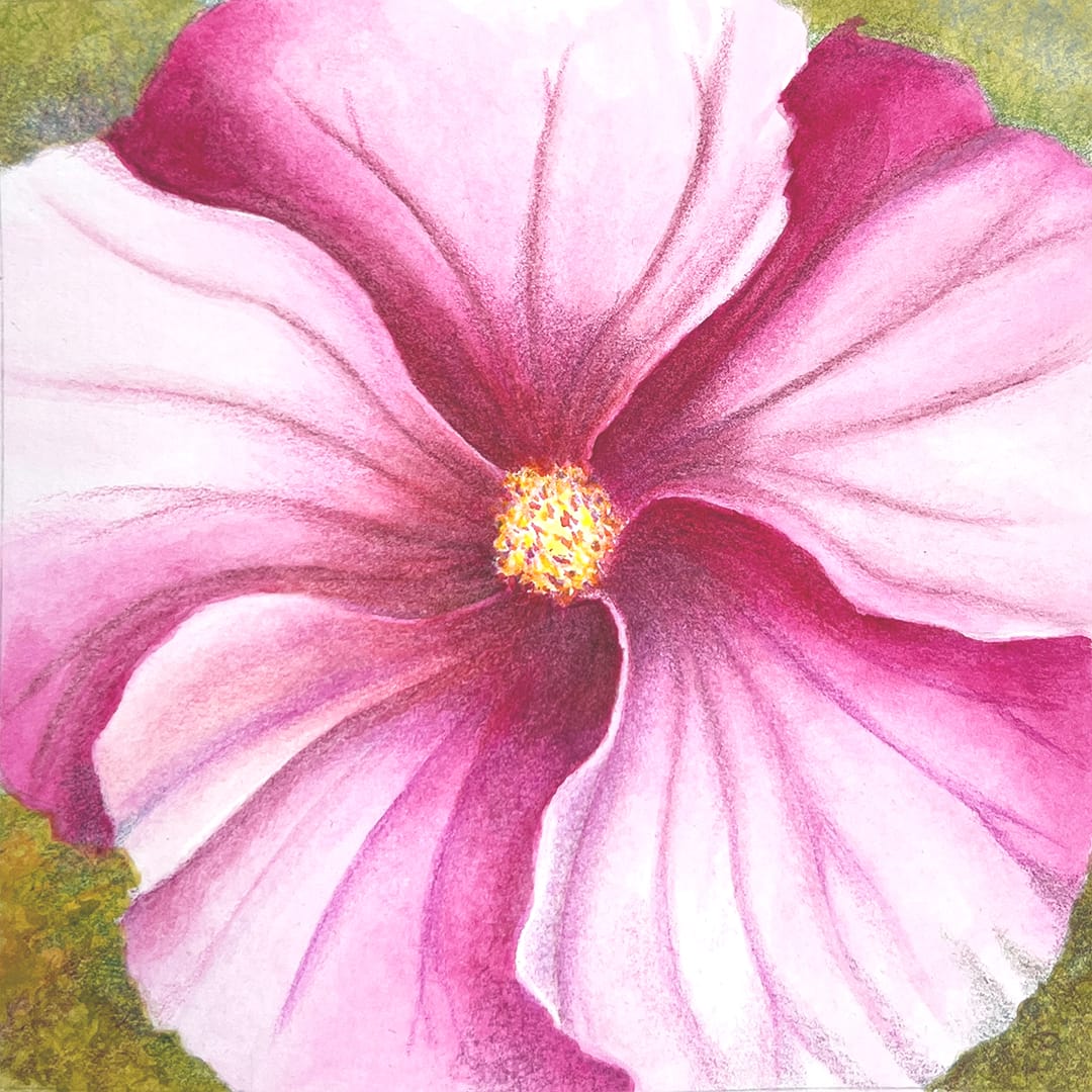 Cherry Hibiscus Centered by Mary Ahern 