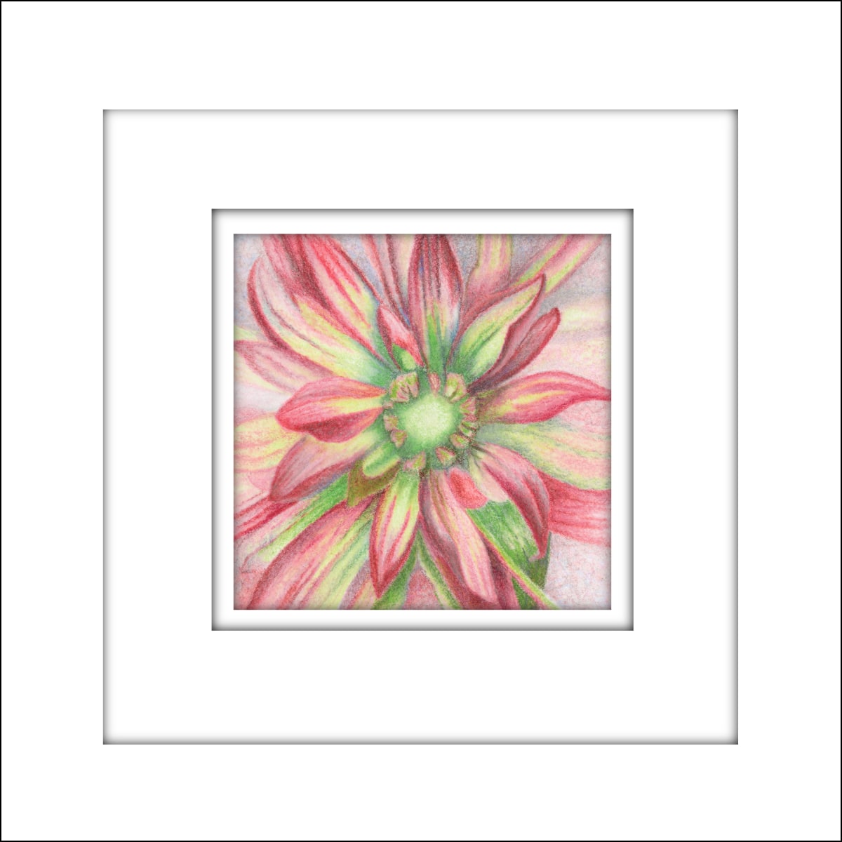 Bahama Mama Dahlia by Mary Ahern  Image: Watercolor and colored pencil drawing. Double matted and Framed in white