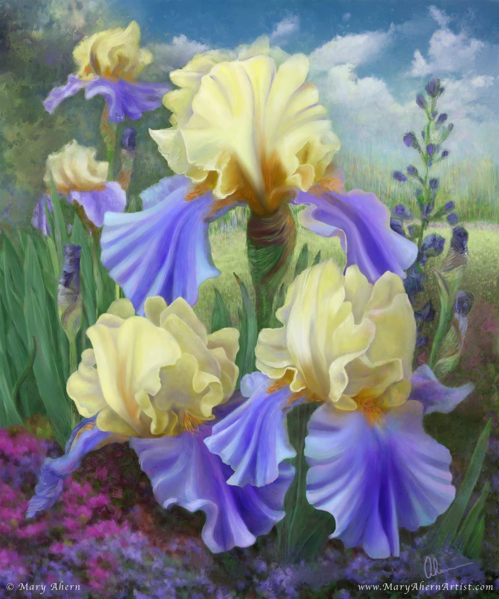 Ellen's Irises 1/2 by Mary Ahern 