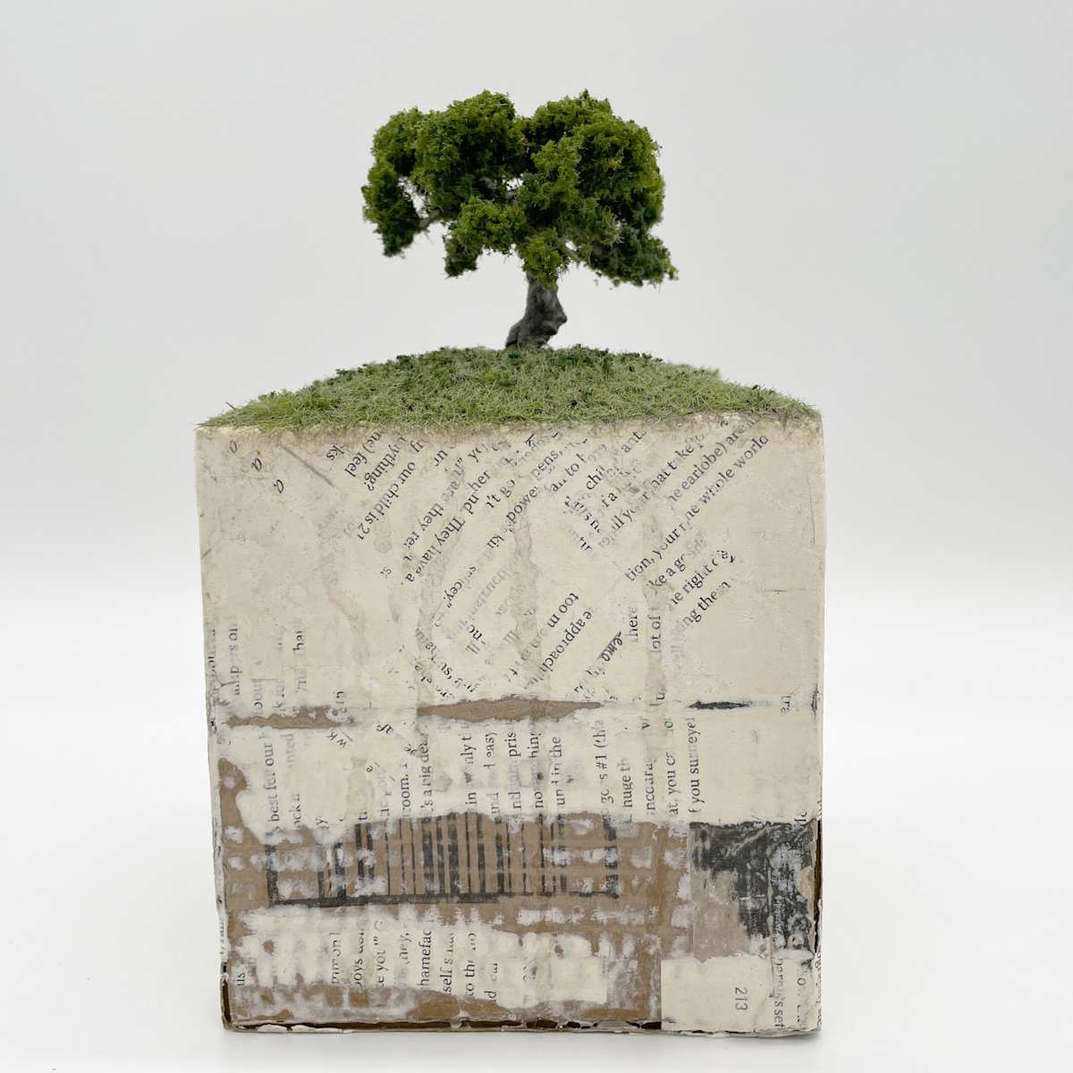 Story of the Land Shaped Like Forever: Cube by Elisha Frontz 