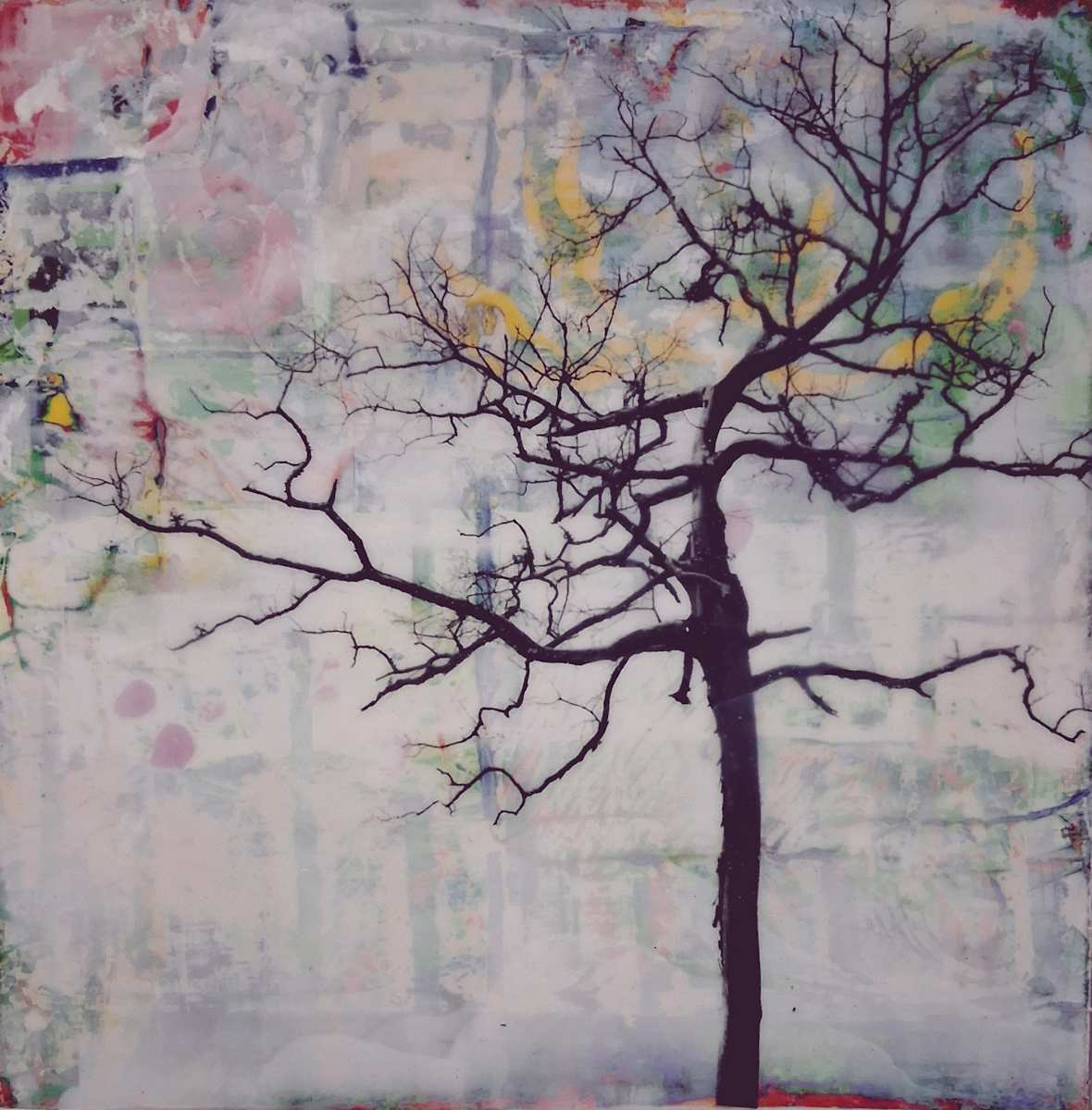 I Have Always Been Here by Lisa Ruch, Image 1.