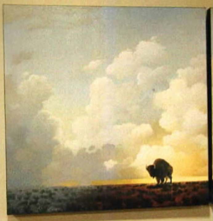 Buffalo Plains 4 by Craig Kosak, Image 1.