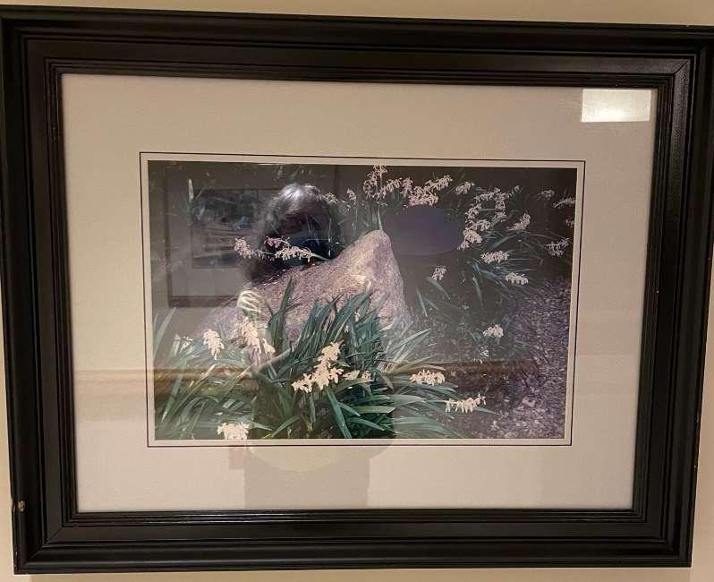 Untitled, Image 1.