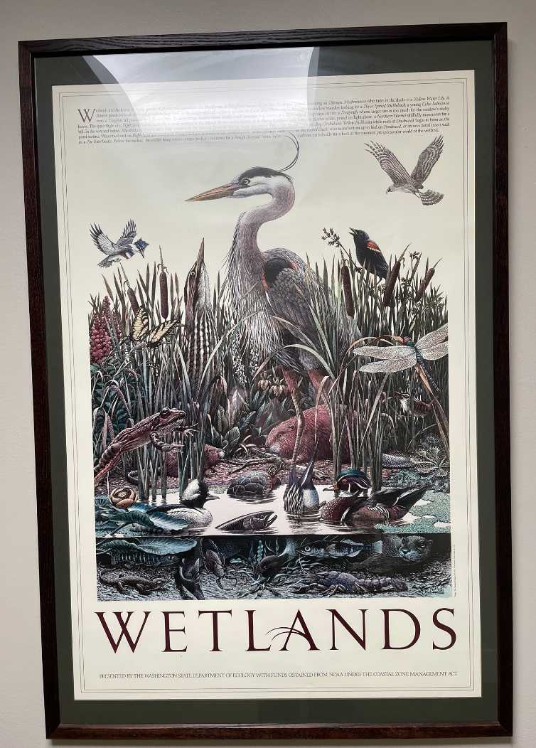 Wetlands Poster by Washington State Departemnt of Ecology, Image 1.