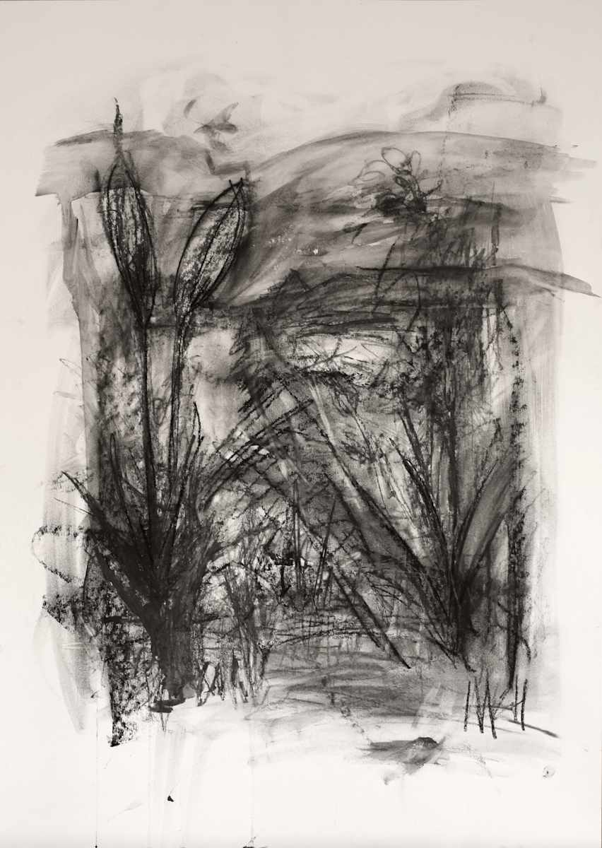 Lakeside by Natascha Nigg 