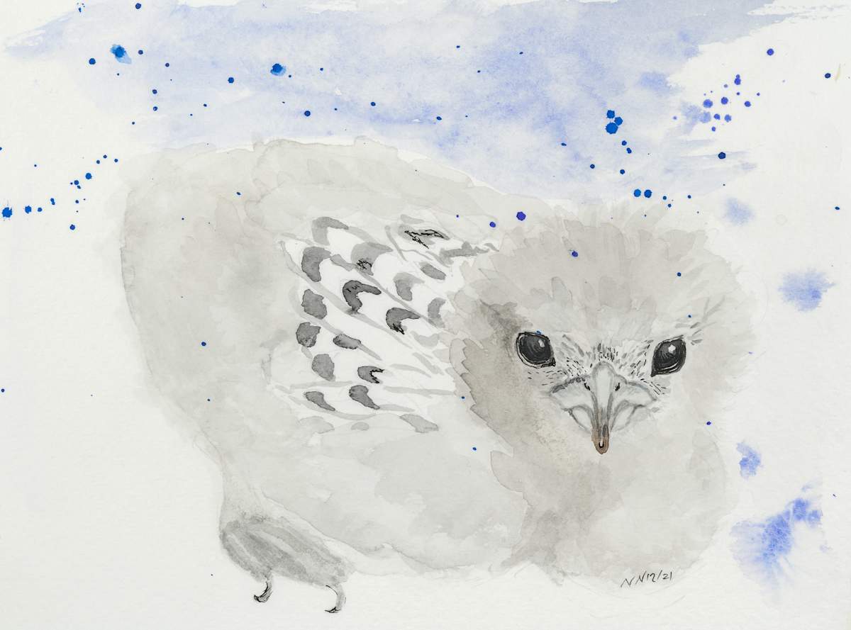 Some Days later by Natascha Nigg 