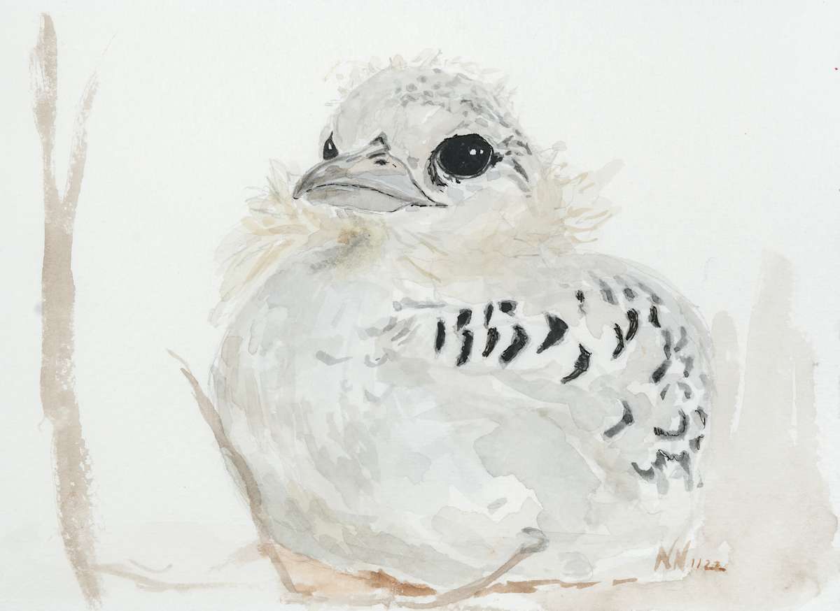 Growing quickly by Natascha Nigg 