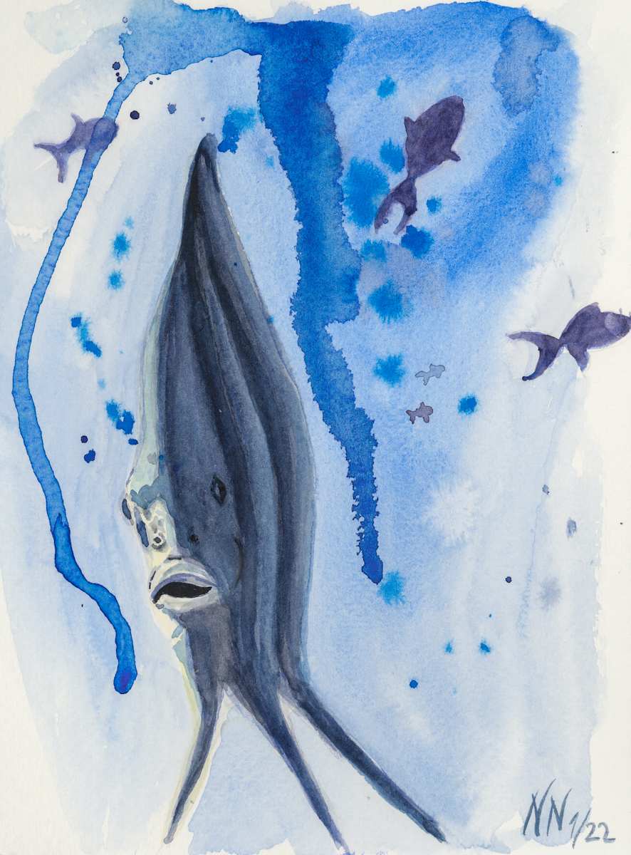 Twilight by Natascha Nigg 