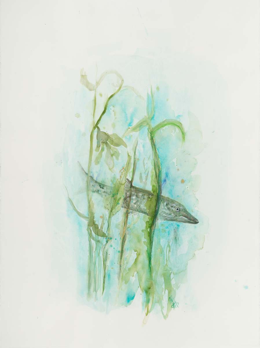 Pike by Natascha Nigg 