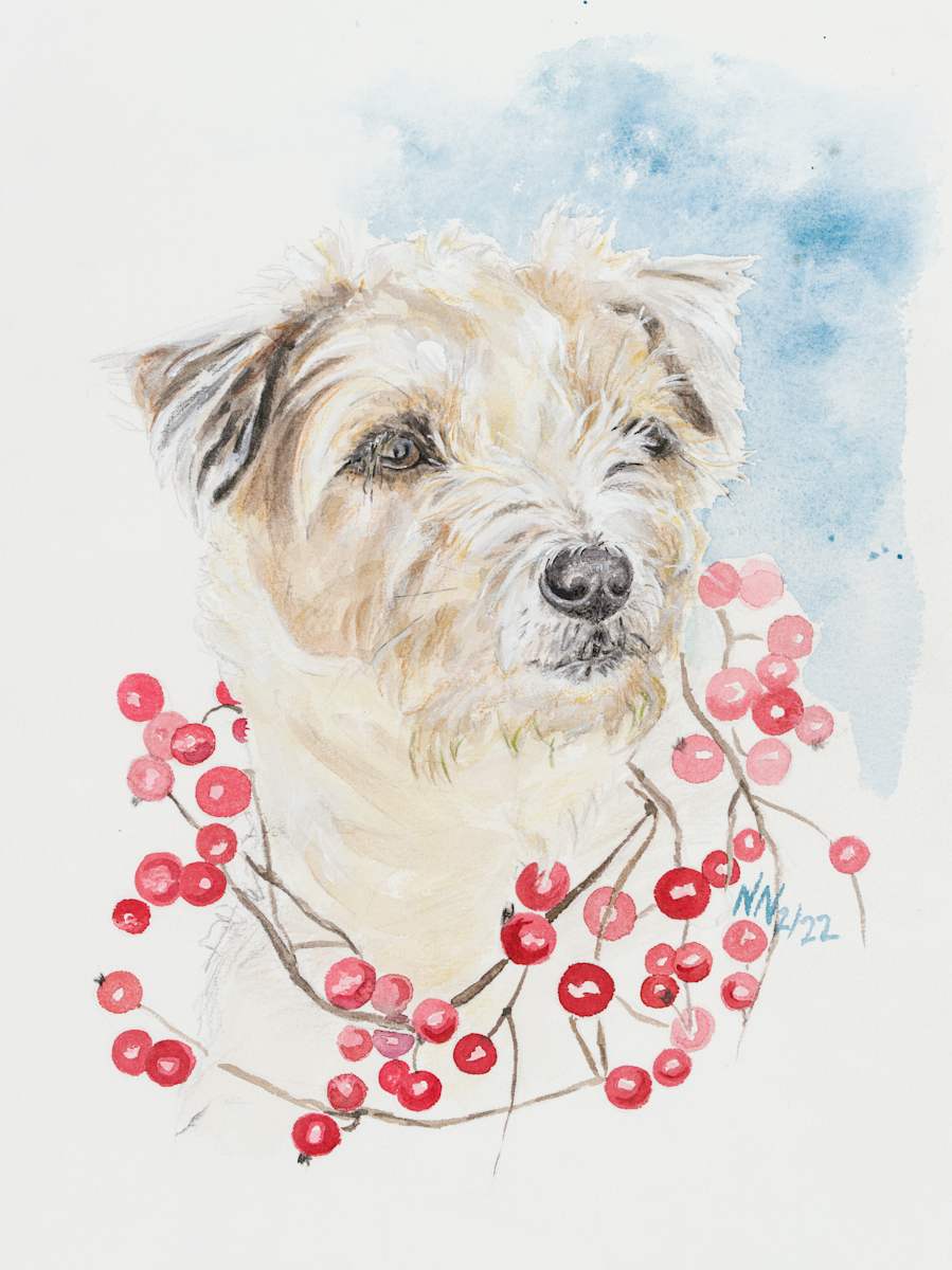 Christmas Lilly by Natascha Nigg 