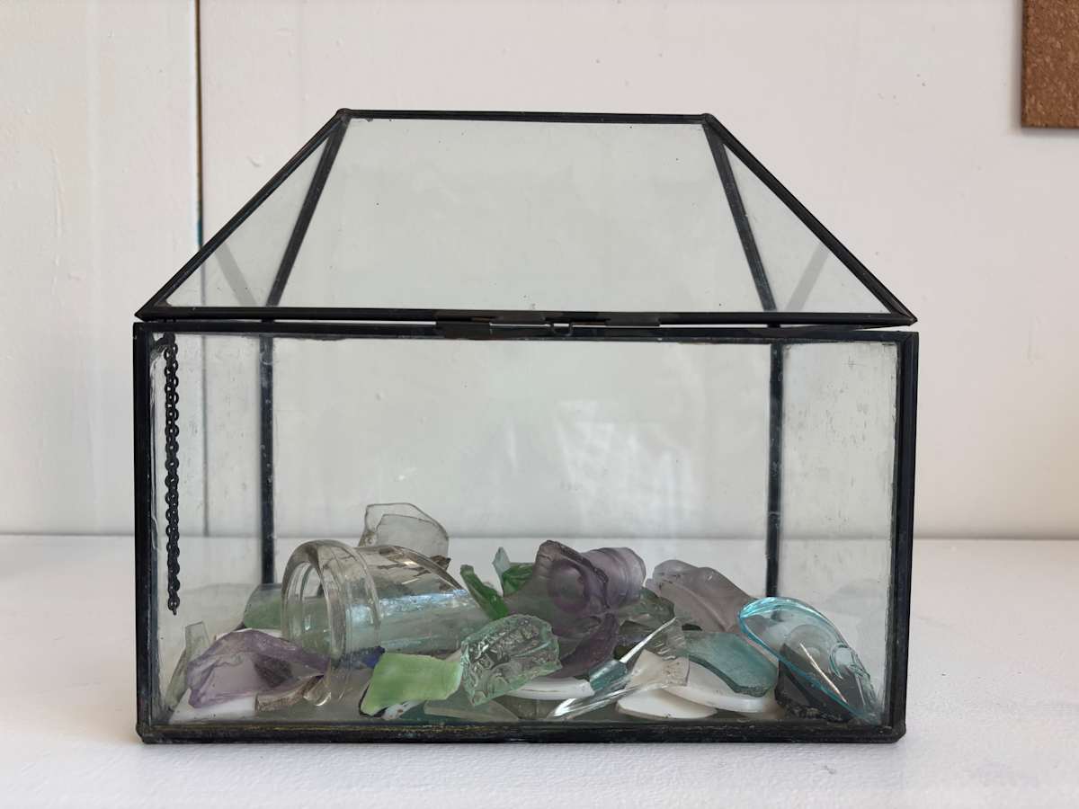 Midden by Emily Smith 