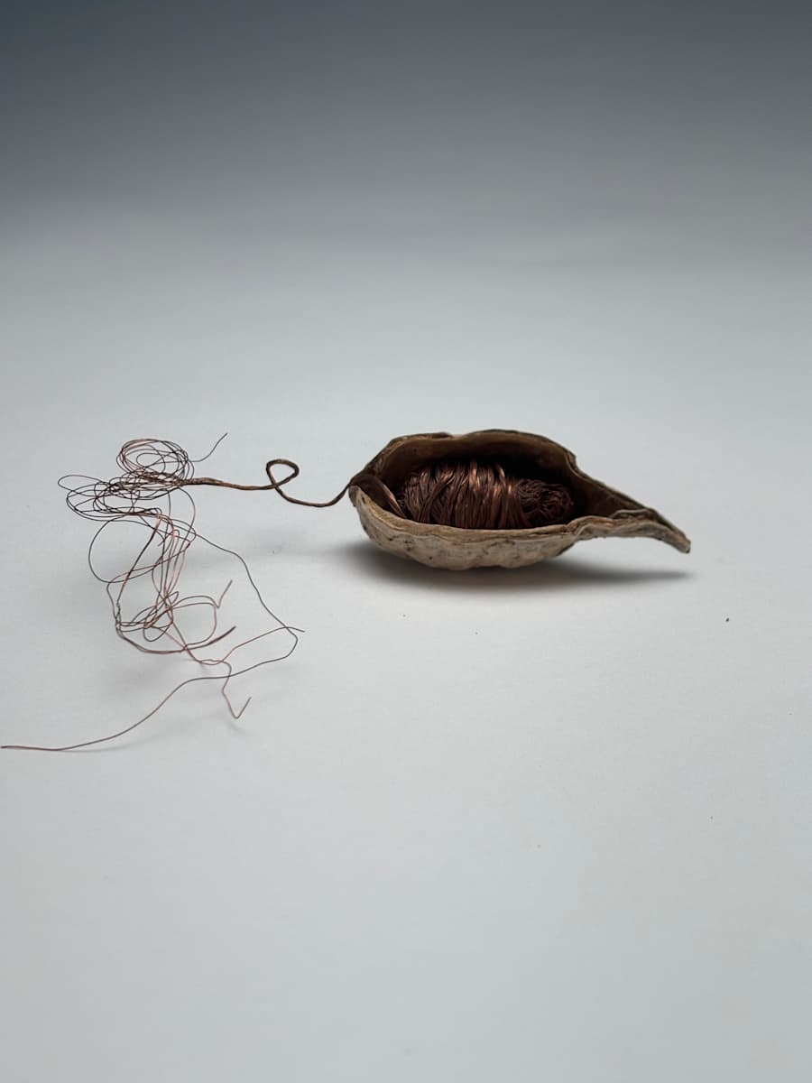 Migrant by Emily Smith 