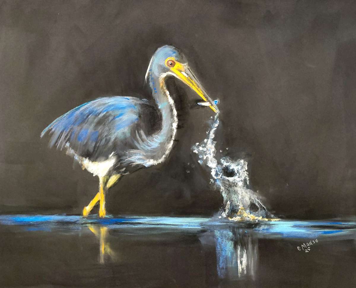 The Catch by Esther Manso 