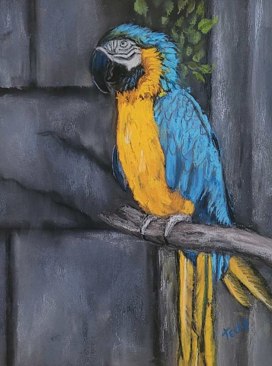 Vibrant Perch by Esther Manso 