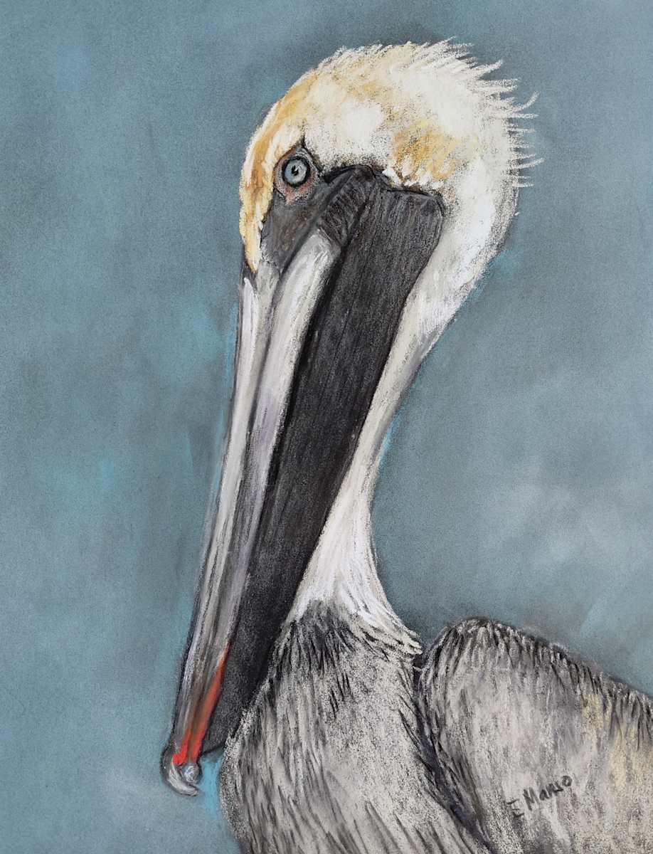 Coastal Mejesty by Esther Manso 