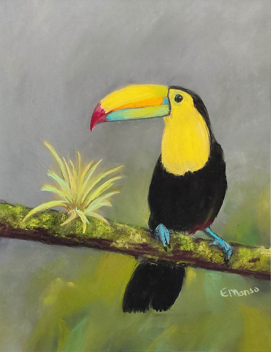 Rainforest Jewel by Esther Manso 