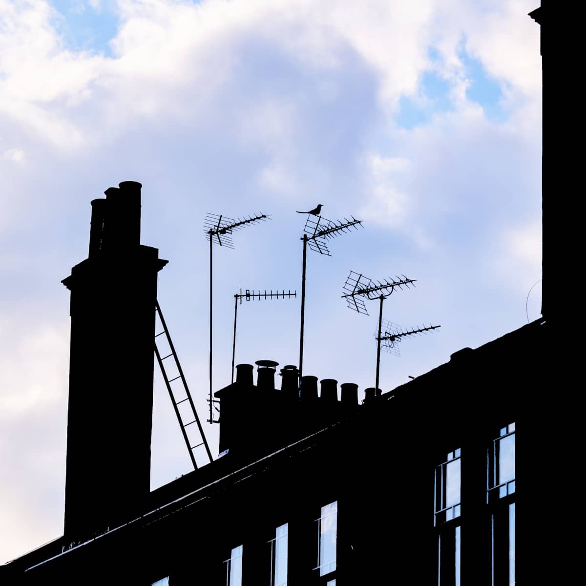 Perched Above the Past by Peter Tertzakian, Image 1.