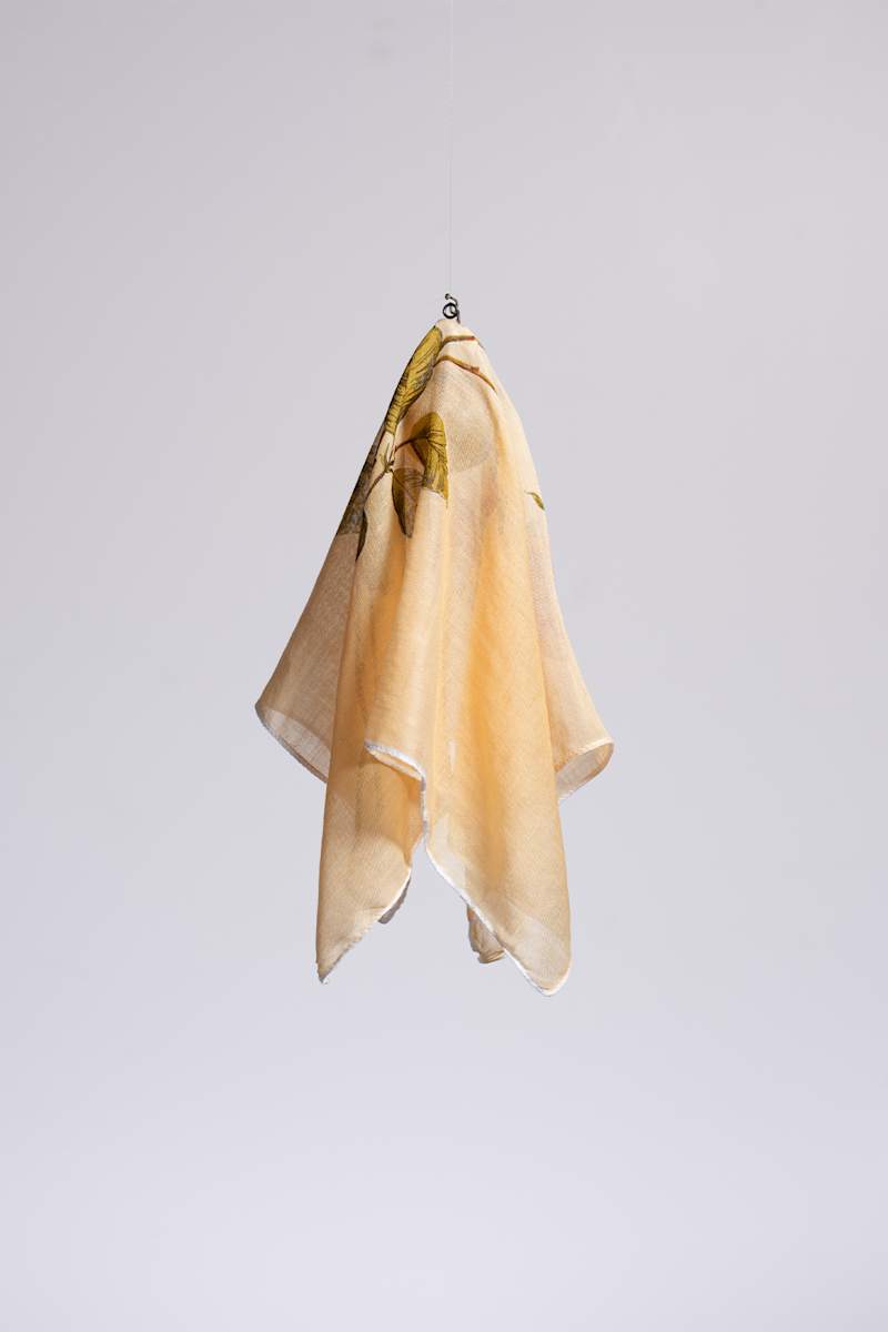 Gag 17/37 by Claire Morgan, Image 1.