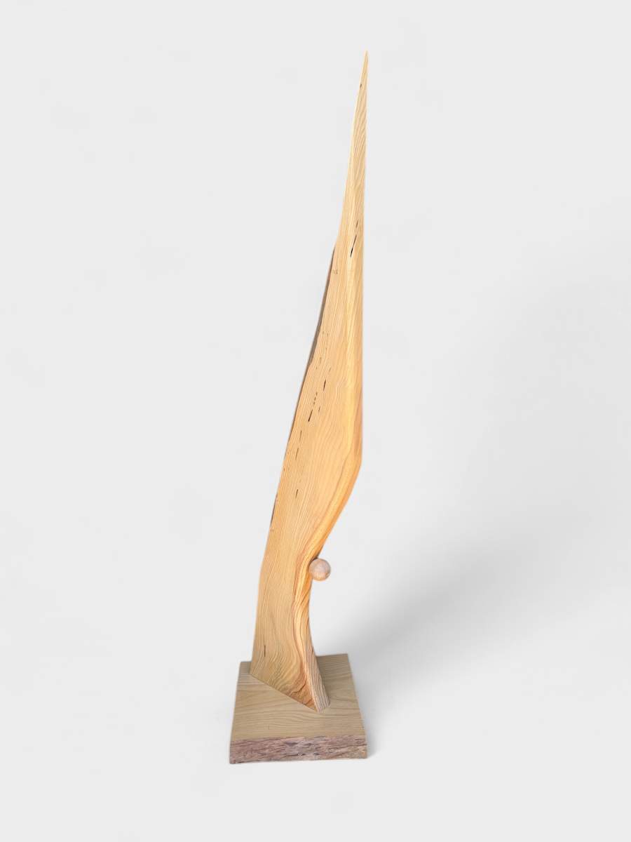 Ascension by Scott Bruckner 