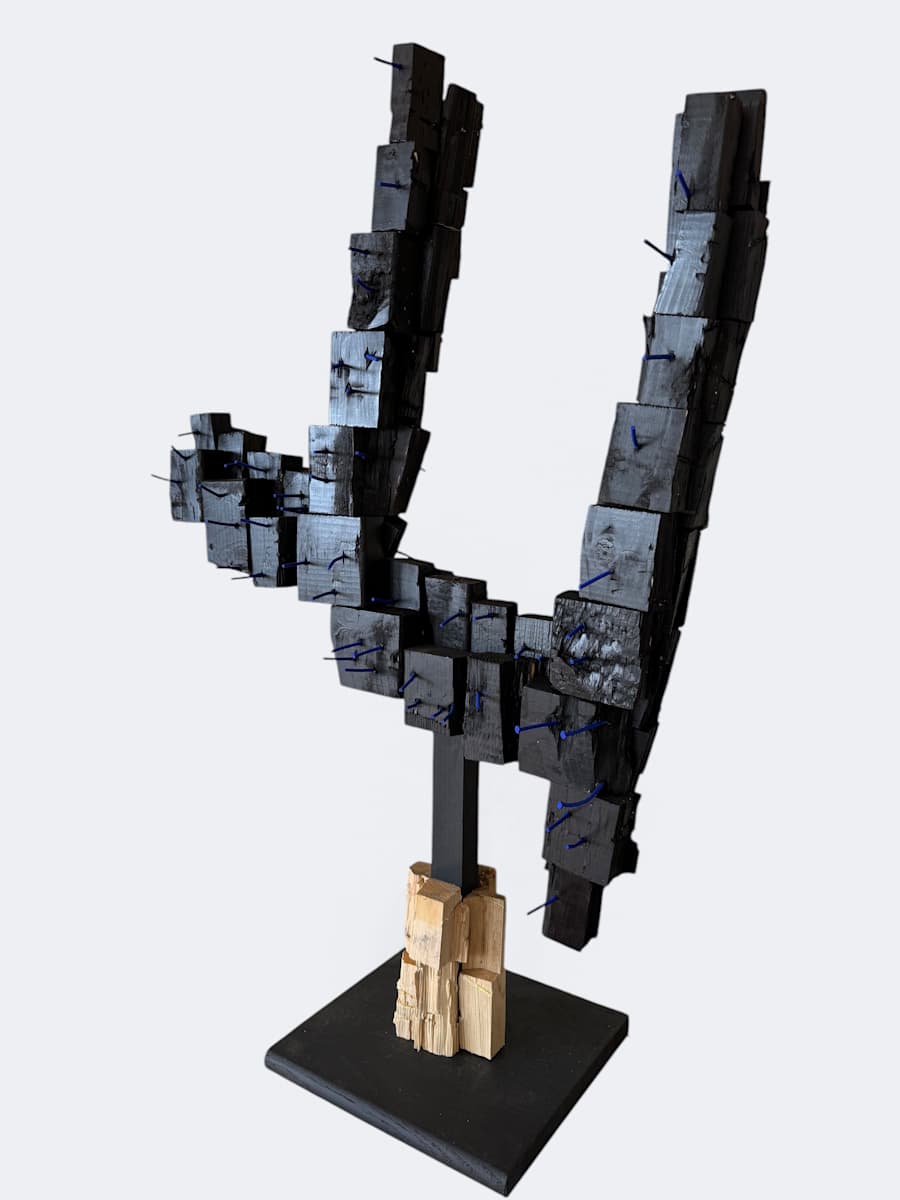 Shards by Scott Bruckner, Image 1.