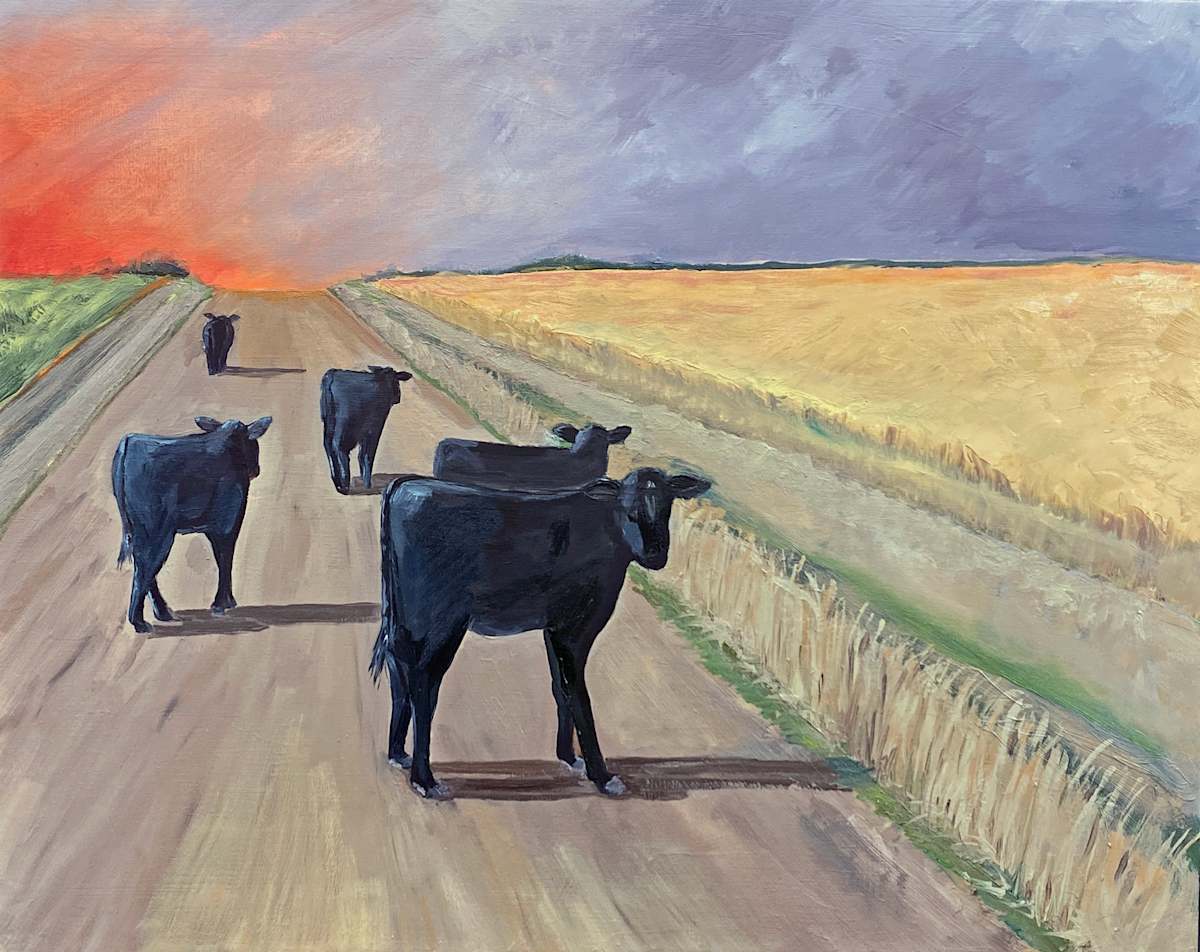 Ellis County, Oklahoma by Evan Degenfelder  Image: Ellis County, Oklahoma. View of southern plains and escaped cattle.