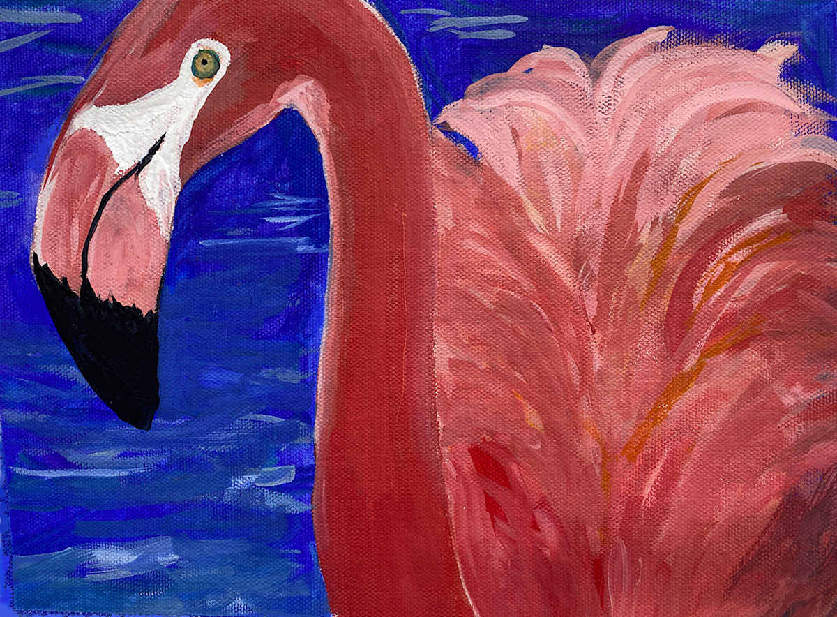 Flamingo by Evan Degenfelder 