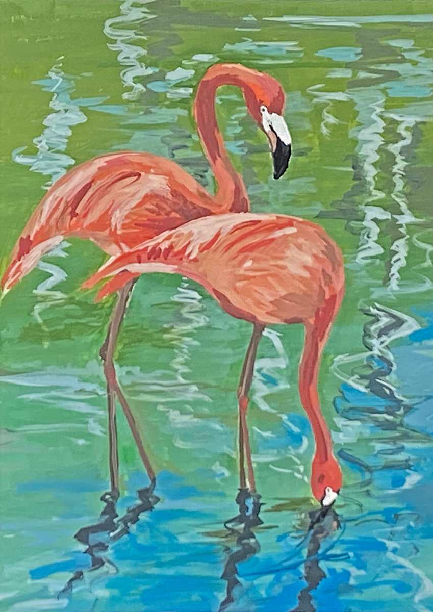 Flamingos by Evan Degenfelder  Image: Flamingos in rippling water.