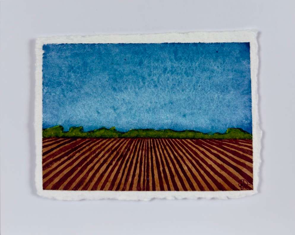 Delta Rows | No.19 by Janelle Douglas 