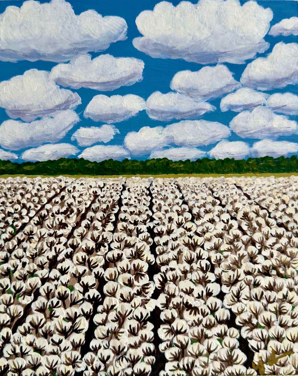 The Delicate Weight by Janelle Douglas 