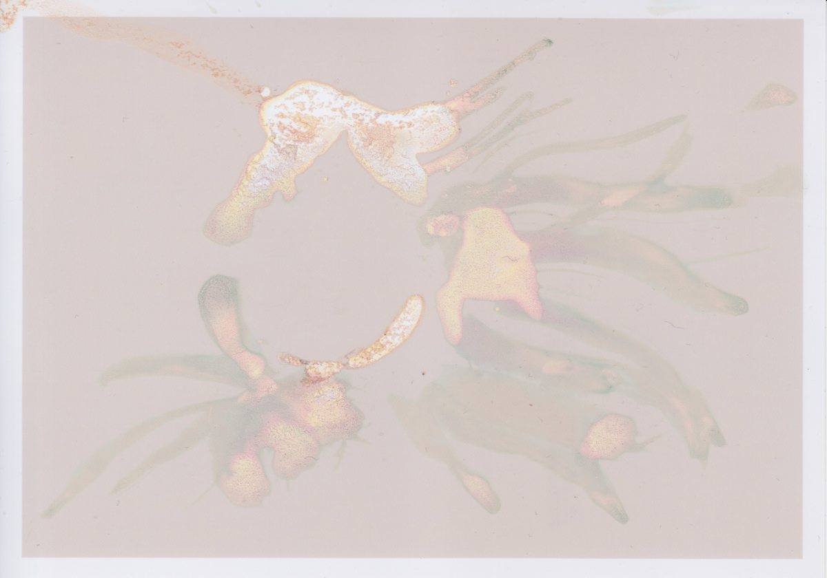Deep Surface Series by Traci Kelly  Image: Corroded photograph