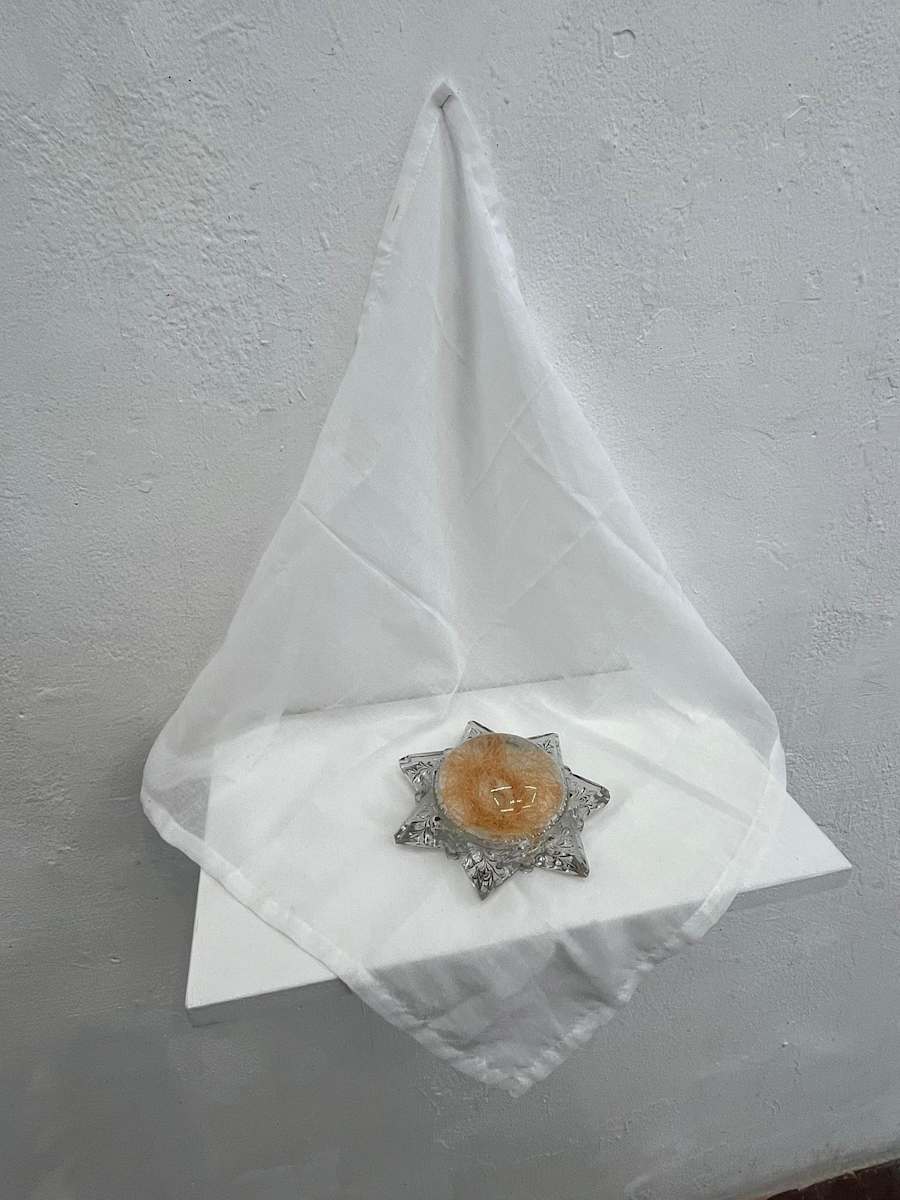 Guiding Star by Traci Kelly  Image: Wall mounted option