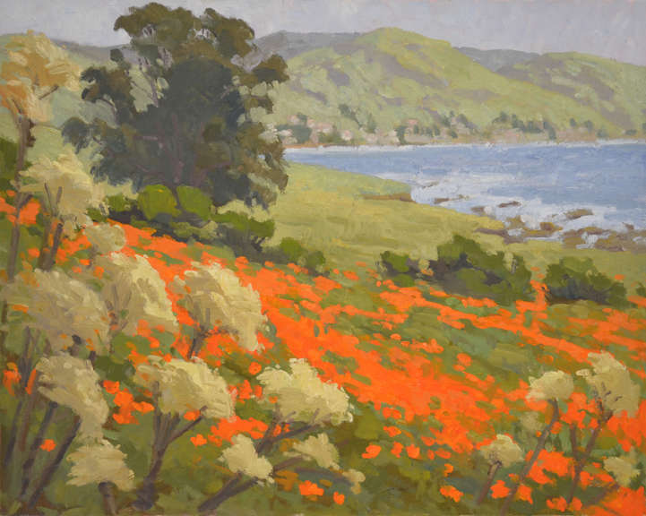 Seaside Poppies by David  A. Williams, Image 1.