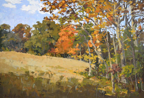 Edgewood by David Williams 