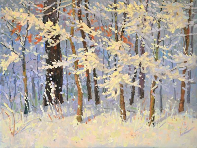 Winter Wood by David  A. Williams, Image 1.