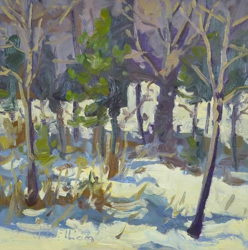 Winter Wood by David  A. Williams, Image 1.