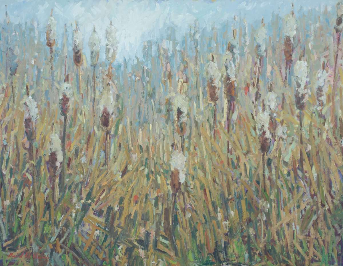 Winter Rush (Cattails) by David  A. Williams, Image 1.