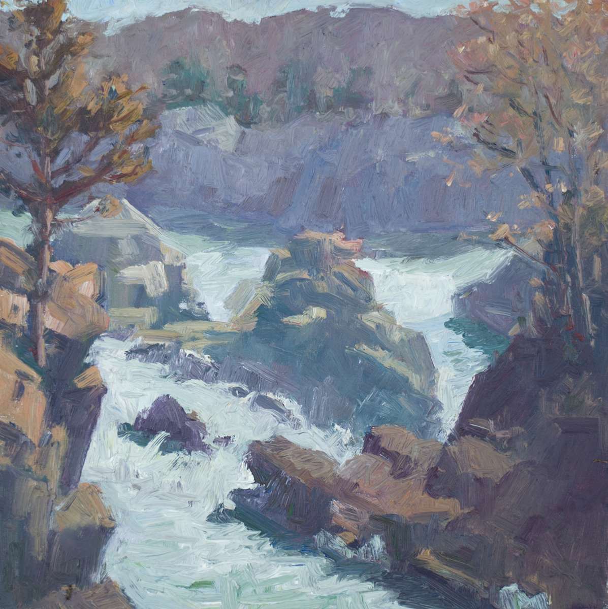 Great Falls "Mather Gorge" by David  A. Williams, Image 1.