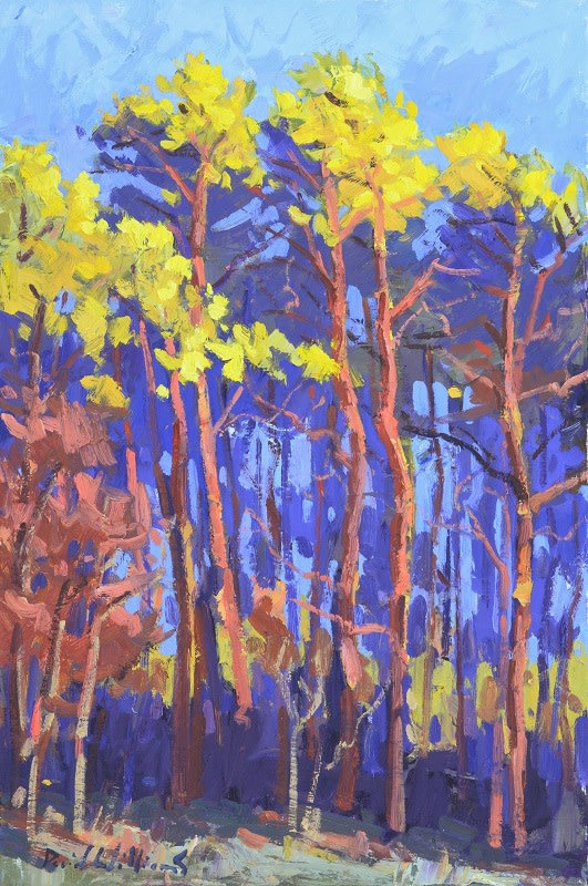 Tall Pine ( Grands Pins ) by David  A. Williams 
