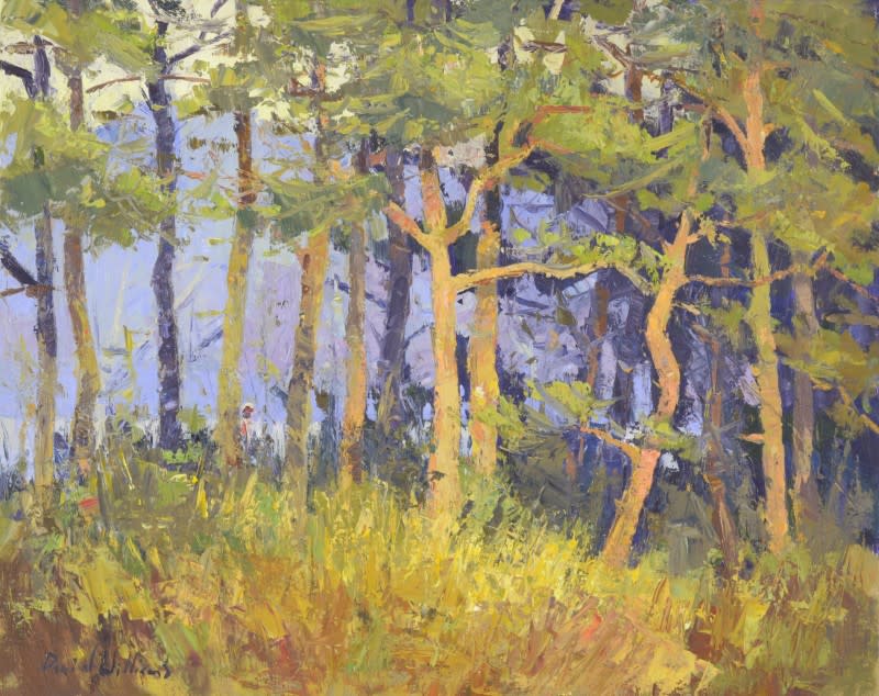 Whistling Pine by David  A. Williams 