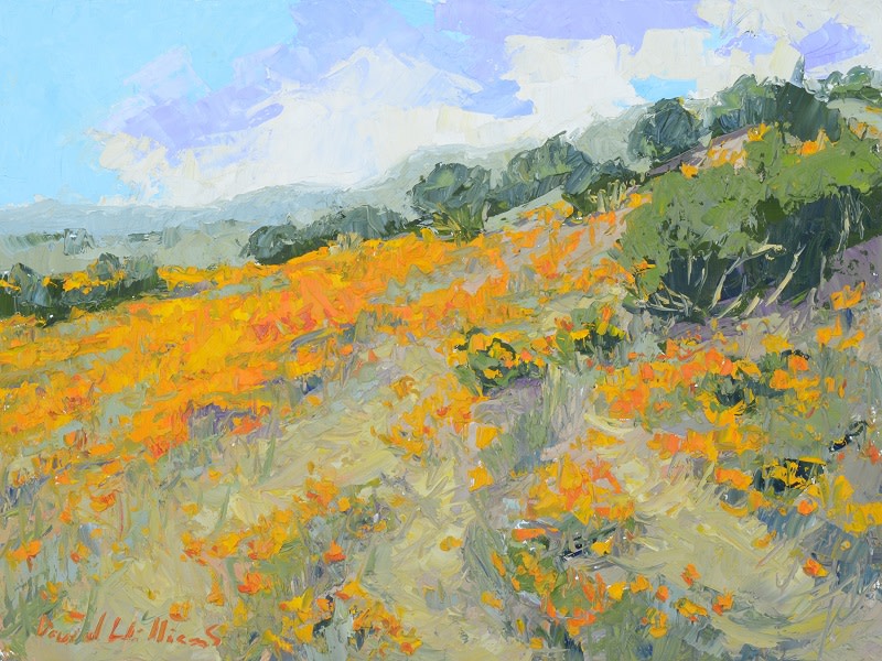 Hillside Poppy by David Williams 