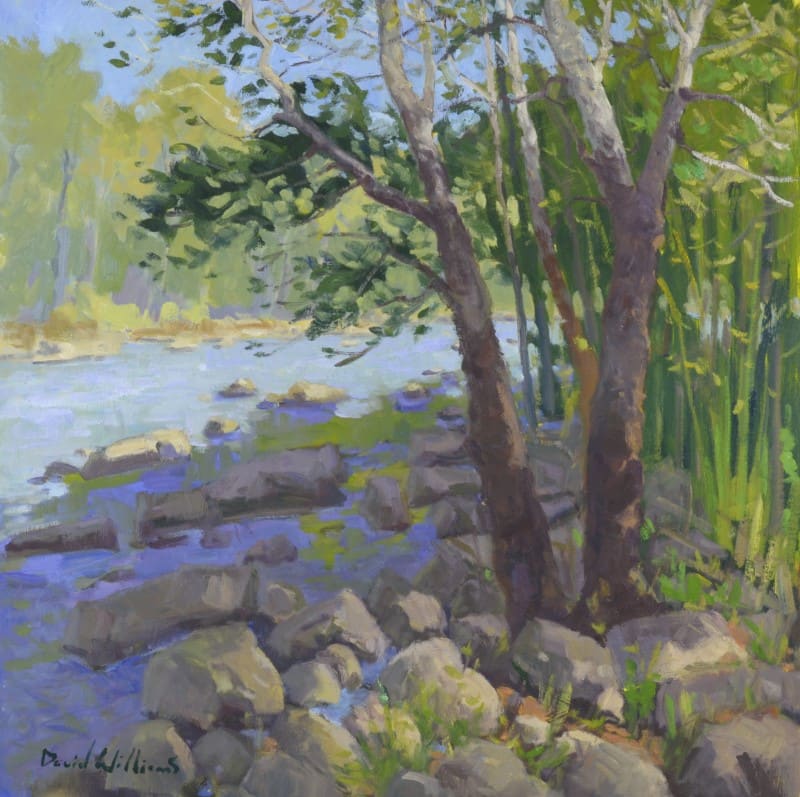 River Shadows by David Williams 