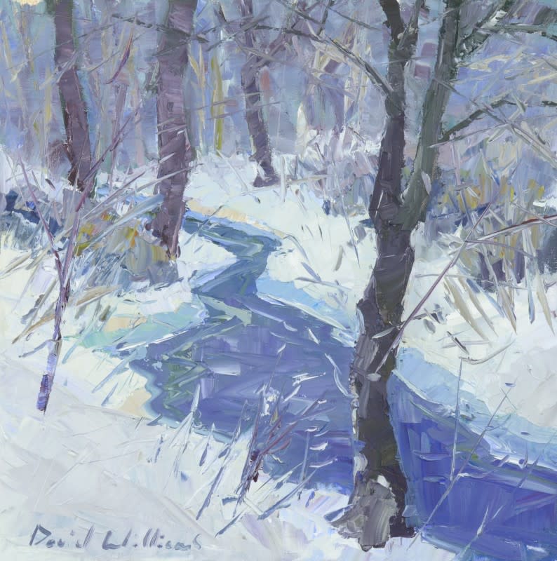 Snowy Creek by David Williams 