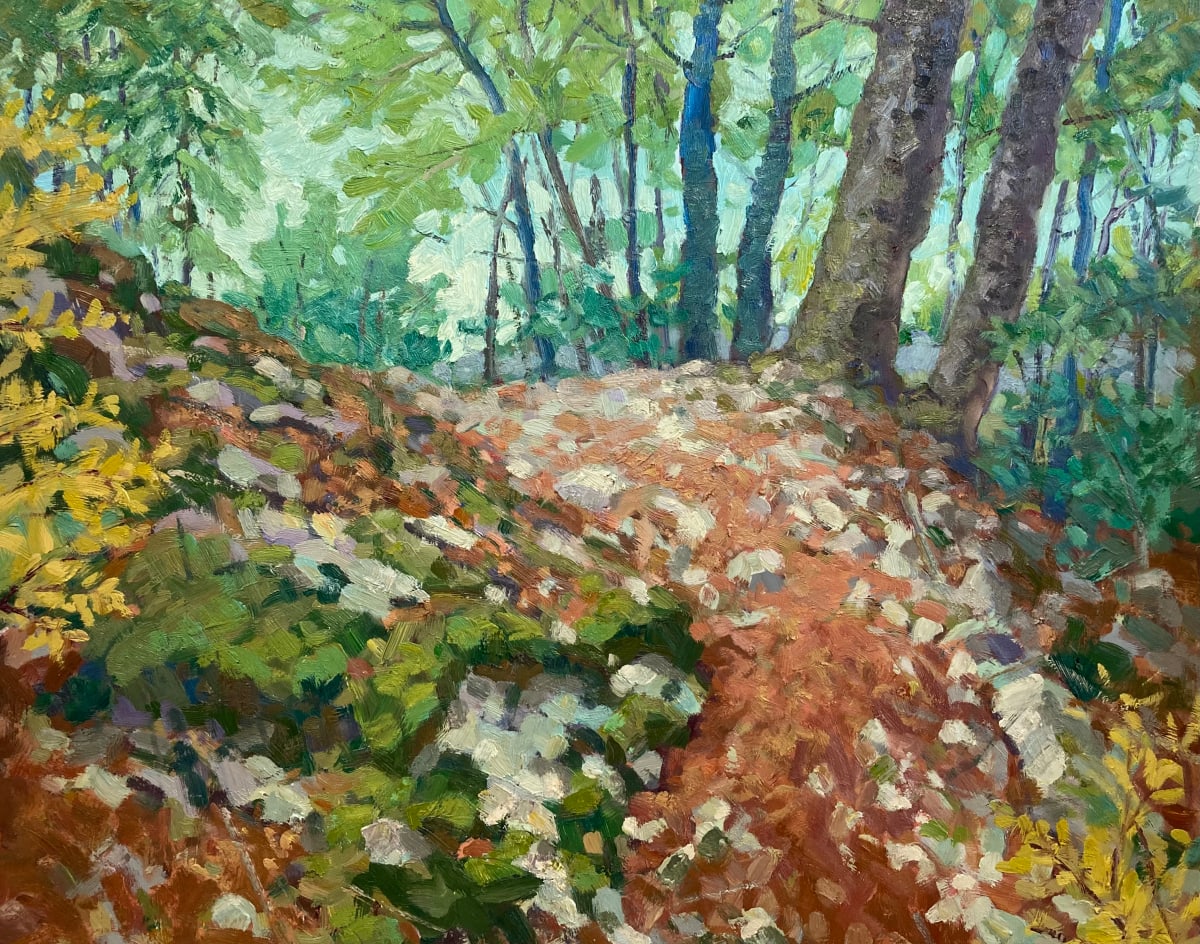Mountain Path .. Velars-sur-Ouche by David  A. Williams 