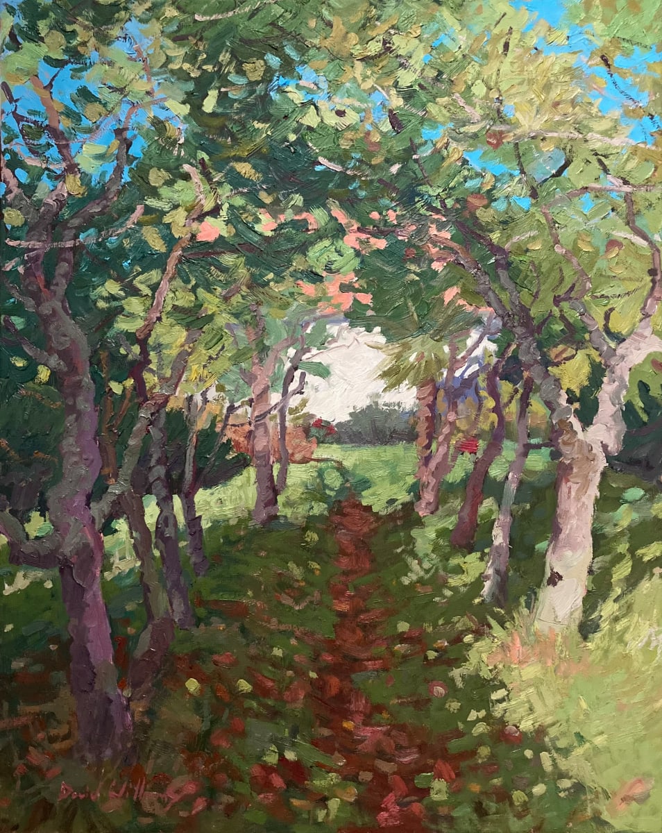 The Orchard by David Williams 