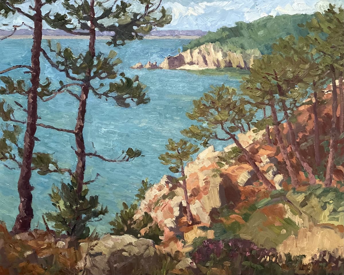 Pointe du Kador by David  A. Williams 