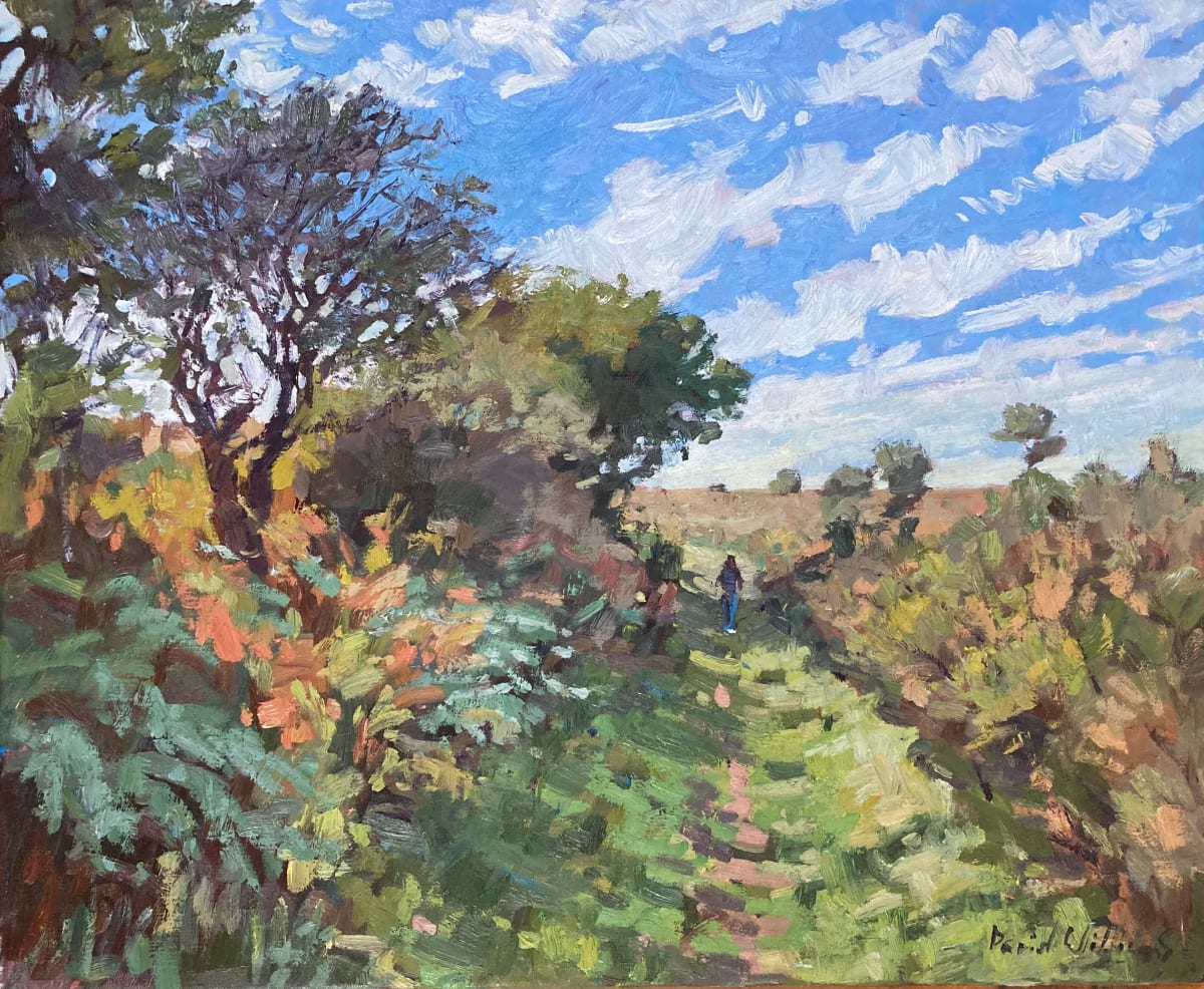 Ver Veryac’h by David  A. Williams 