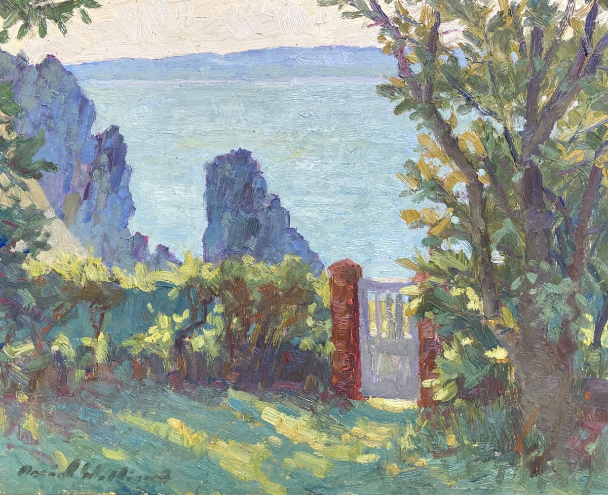 L’Aiguille Le matin by David  A. Williams 